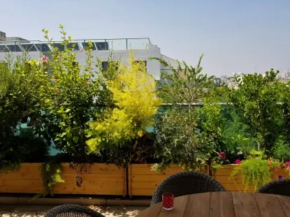 תמונות אחרי מספר חודשים של צמחייה